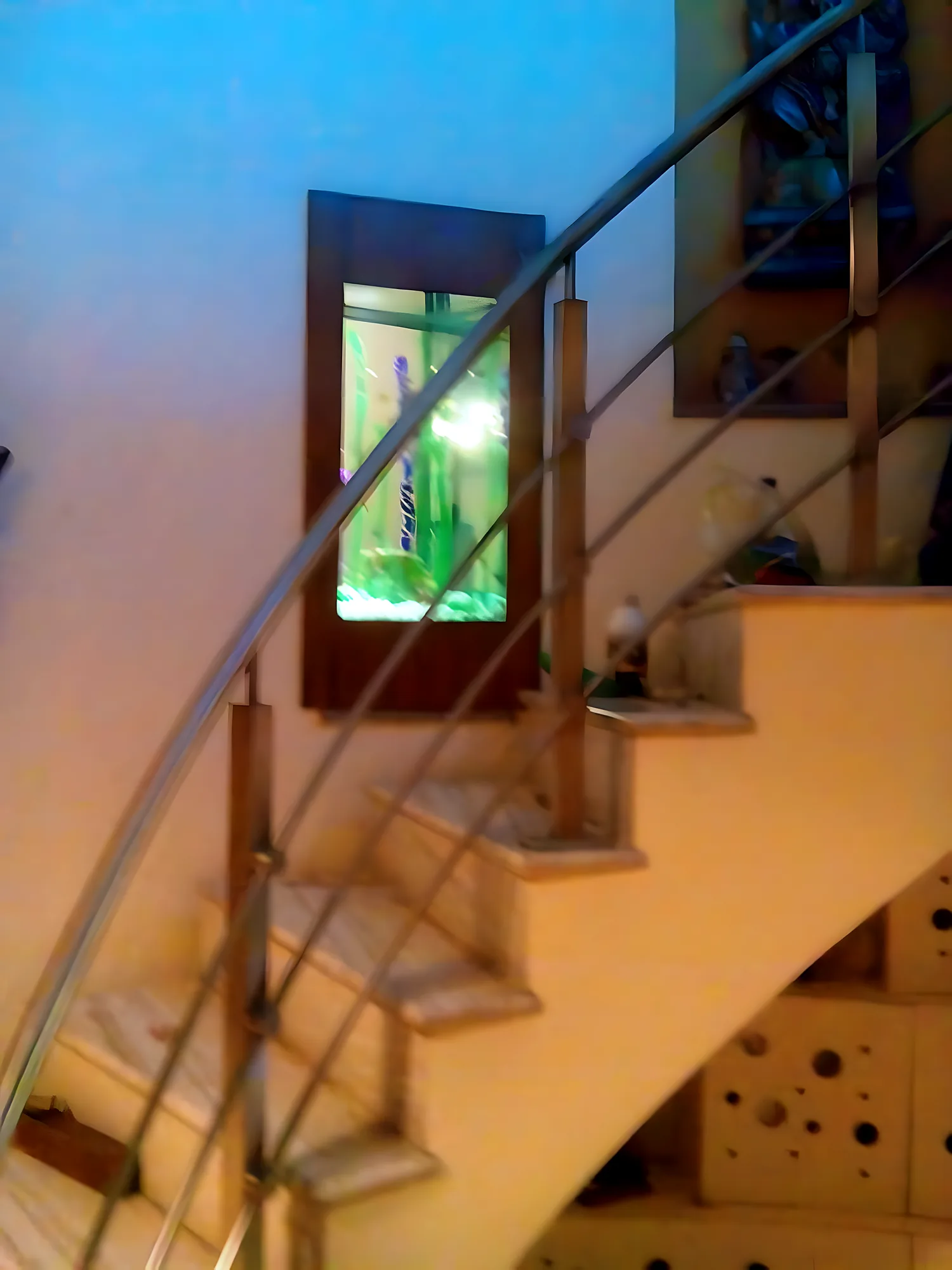 Framed aquarium set into the wall beside a curved staircase